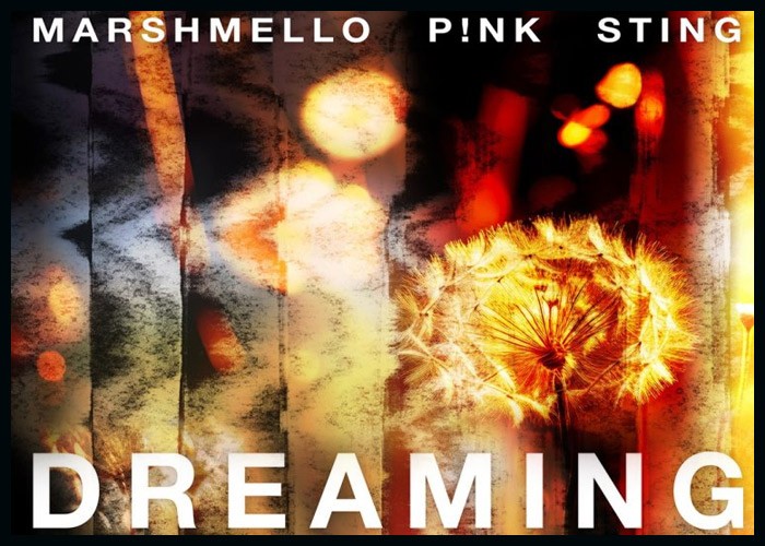 Marshmello, P!NK & Sting Join Forces On New Single ‘Dreaming’