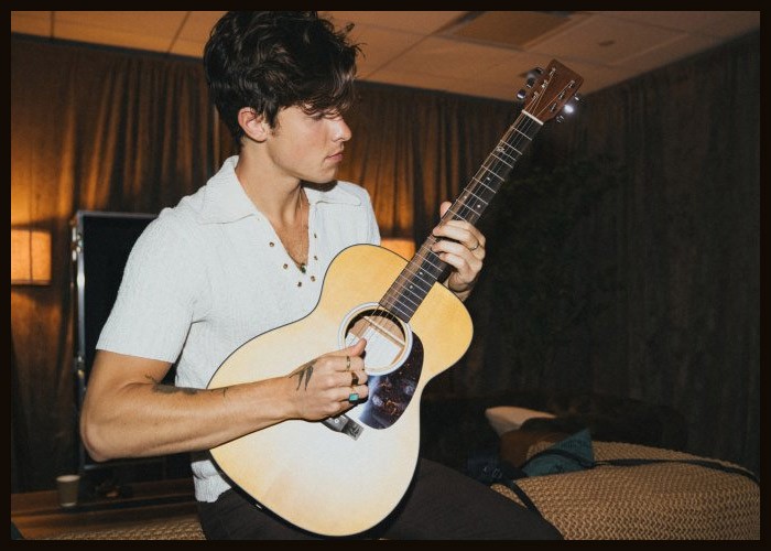 Martin Introduces Shawn Mendes Custom Signature Acoustic Guitar