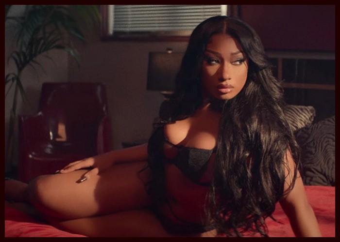 Megan Thee Stallion Launches Website Providing Mental Health Resources