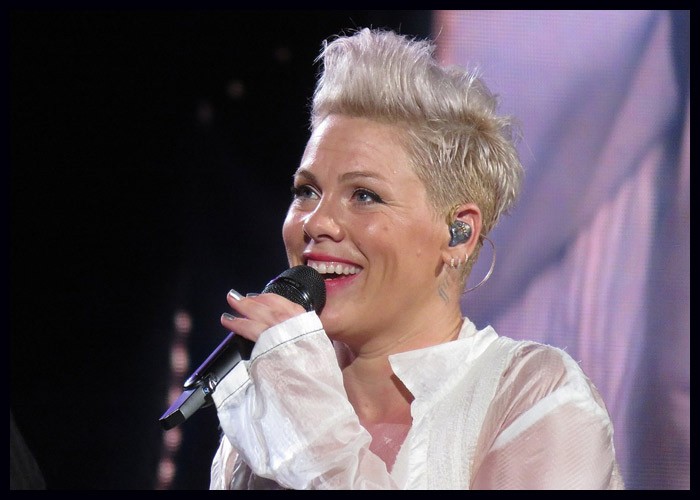 Pink Adds 2024 North American ‘Summer Carnival Tour’ Dates