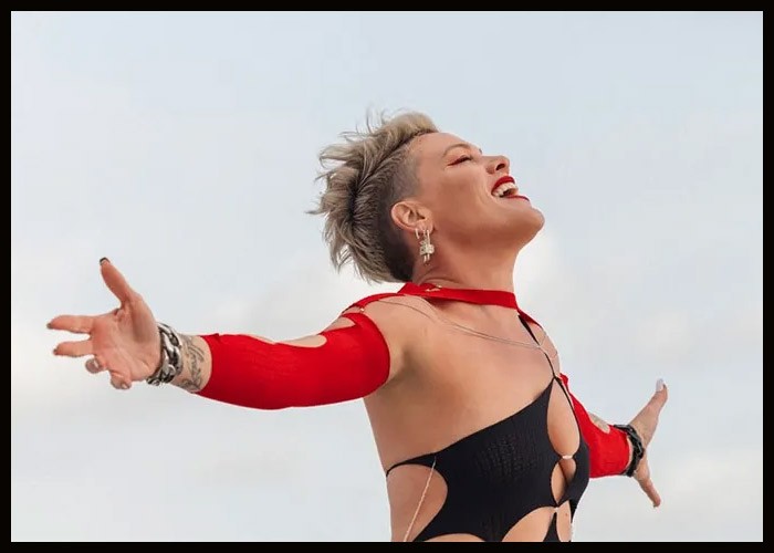 P!nk Shares Dramatic Video For New Single 'Trustfall'