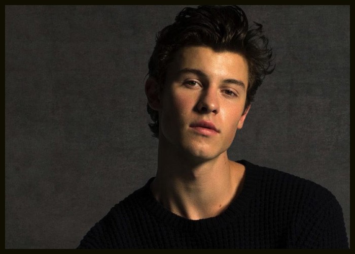 Shawn Mendes, Camila Cabello Announce Breakup After Two Years