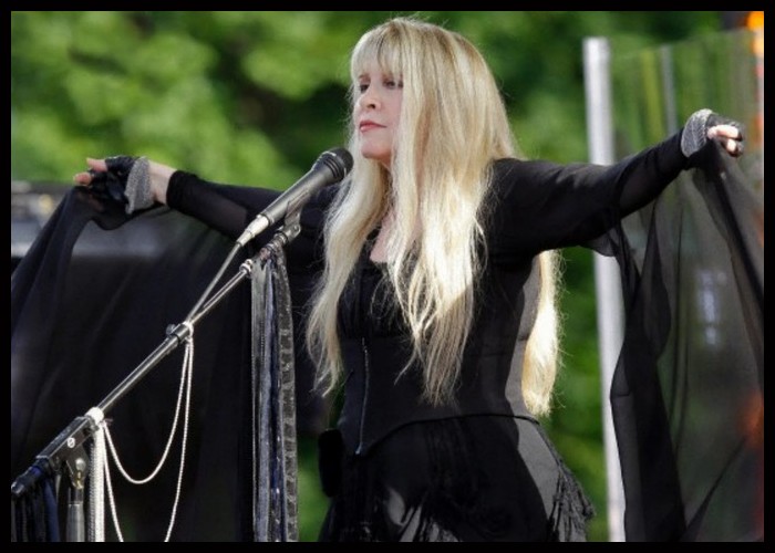 Stevie Nicks Shares Cover Of 'Cotton Candy Land' From 'Elvis' Soundtrack